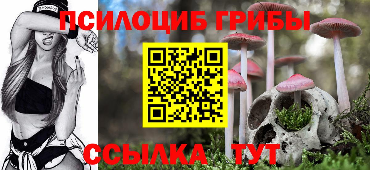 Урус-Мартан  Галлюциногенные грибы Psilocybe  Вход с VPN  Галлюциногенные грибы прущие грибы 